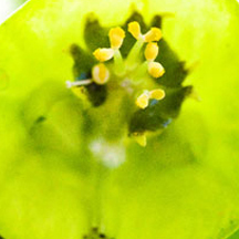 超强性能稳定的免费ddos网页端